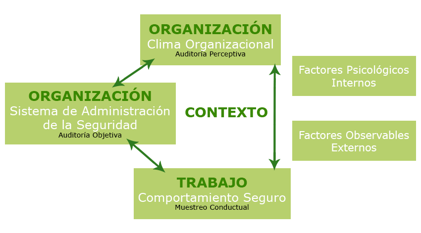 Cultura Organizacional